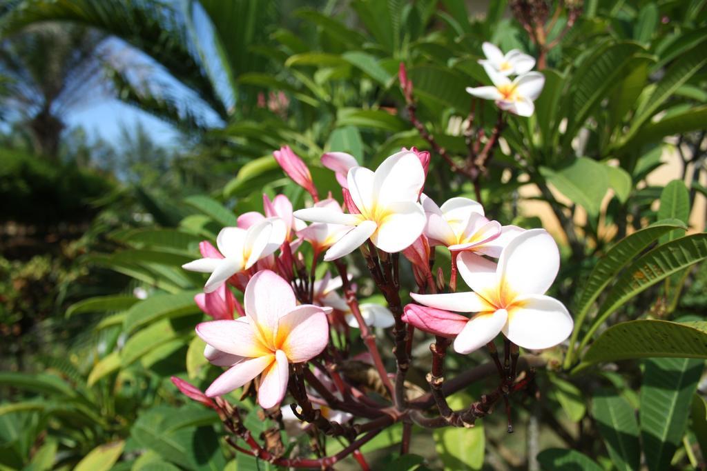 Ao Thai Resort Sathing Phra Exteriör bild